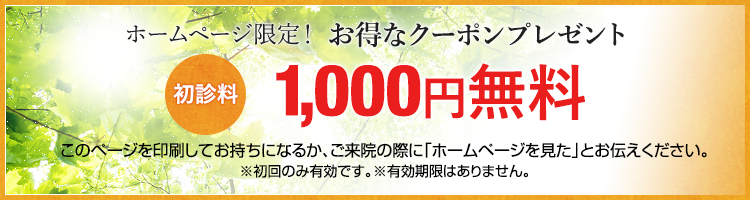 ホームページ限定クーポン